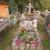 Nagrobek Aleksandra Biernackiego na cmentarzu w Zakopanem; fot.: https://zakopane-parafia.grobonet.com/grobonet/start.php?id=detale&idg=10201&inni=0&cinki=0 (dostęp 2.02.2023)