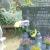 Nagrobek Andrzeja Grodzkiego na Cmentarzu Witomińskim w Gdyni; fot.: http://www.gdynia.artlookgallery.com/grobonet/start.php?id=detale&idg=219175&inni=0&cinki=0 (dostęp 6.01.2020)