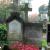 Nagrobek Tadeusza Galika na Cmentarzu Stare Powązki w Warszawie; fot.: https://cmentarze.um.warszawa.pl/pomnik.aspx?pom_id=25287 (dostęp 7.04.2022)