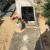 Nagrobek Jana Trzcińskiego na Cmentarzu Junikowo w Poznaniu; fot.: JankaBart, https://pl.billiongraves.com/grave/Jan-Trzci%C5%84ski/29245729?referrer=myheritage (dostęp 7.02.2019)